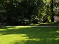 Ein sonniger Tag im Schlosspark Pankow. Ein gepflegter Rasen wird von Schatten durchbrochen, daneben ein Weg und eine Allee.
