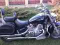 Czarny motocykl Yamaha Royal Star z chromowanymi detalami i skórzanymi sakwami, zaparkowany na trawie przed płotem.