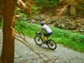 A cyclist enjoys biking 50 miles a week on a gravel path through a lush green forest.