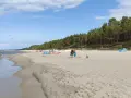 Słoneczny dzień na piaszczystej plaży, z lasem sosnowym w tle. Ludzie odpoczywają, bawią się i spacerują wzdłuż linii brzegowej. Idealne miejsce na relaks nad morzem.