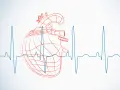 Czerwony, schematyczny zarys serca na tle wykresu EKG. Analiza HRV, czyli zmienności rytmu serca, pokazuje jego kondycję.