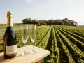 Butelka wina musującego i dwa kieliszki na tle malowniczych winnic na Dolnym Śląsku.