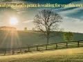 Sunrise over a grassy hill with a fence. The sun's rays shine through a bare tree, inviting the first prayer of the day.