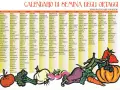Calendario semine ortaggi: guida mensile per la semina di verdure come pomodori, zucchine e insalate.