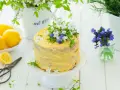 Słoneczny tort cytrynowy z kremem lemon curd, ozdobiony świeżymi kwiatami i ziołami. Obok leżą cytryny i stare nożyczki.