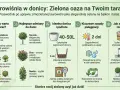Laurowiśnia w donicy na tarasie: zimozielona ozdoba, osłona przed wiatrem i sąsiadami. Przewodnik po uprawie.