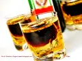 Dwa kieliszki z warstwowym drinkiem Jägermeister i Red Bull. Butelka Jägermeister w tle.