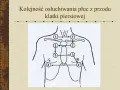 Schemat kolejności osłuchiwania płuc z przodu klatki piersiowej.