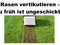 Rasen vertikutieren: Ein Rasenlüfter entfernt Moos und Unkraut. Zu früh ist ungeschickt!