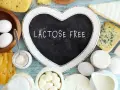 Assortiment de fromages, œufs et yaourt. Un cœur noir indique "LACTOSE FREE", parfait pour un fromage blanc sans lactose.