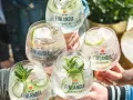 Finlandia botanical drink – odkryj wyjątkowe smaki i przepisy koktajlowe