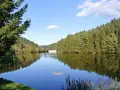 Idyllischer **Badesee Grotegaste** umgeben von dichten Wäldern, die sich im ruhigen Wasser spiegeln. Ein perfekter Ort für Erholung.