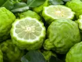 Bergamota para que sirve: estos cítricos verdes, con su piel rugosa y pulpa jugosa, son ideales para infusiones y remedios naturales.