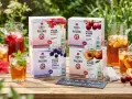 Quatre boîtes de "Thés de la Pagode" : infusions à froid Bissap, Cerise, Cassis & Menthe, et Pêche. Des carafes et verres de boissons glacées complètent la scène.