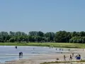 Menschen genießen einen sonnigen Tag am Strandbad Eldena. Einige baden im flachen Wasser, andere spazieren am Ufer entlang.