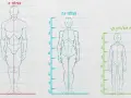 Comparaison des proportions corps humain : 8 têtes, 7,5 têtes et 6,5 têtes pour un enfant de 10 ans.