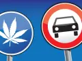Verkehrsschilder: Ein blaues Schild mit einem Cannabisblatt und ein rotes Schild mit einem Auto. Vorsicht vor Cannabis am Steuer!