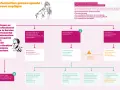 Diagramme illustrant le traitement d'une information préoccupante concernant un enfant.