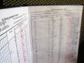 Strona dziennika z wpisanymi ocenami postępów w nauce. Widać rubryki z przedmiotami i wpisy ocen, niektóre czerwone, inne niebieskie.