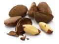 Noix du Brésil : découvrez les noix du Brésil et leurs bienfaits pour la santé. Une coque ouverte révèle des amandes dorées, prêtes à être dégustées.