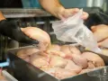 Zepsute mięso mielone: zapach, kolor, dotyk. Jak ocenić świeżość?