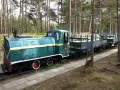 Zielona lokomotywa z żółtym pasem i wagonami na torach leśnych. Pociąg nawiązuje do historii muzeum obrony wybrzeża.