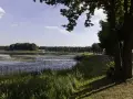 Spokojny zalew Zielona Kalety otoczony lasem, z piaszczystą ścieżką i drzewami wzdłuż brzegu.