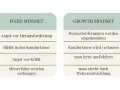 Gegenüberstellung von "Fixed Mindset" (Angst vor Herausforderungen, Kritik, Misserfolgen) und "Growth Mindset" (Herausforderungen annehmen, aus Fehlern lernen, Weiterentwicklung).
