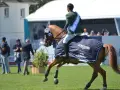 Cavalier irlandais CSO victorieux, portant une médaille et une couverture Longines FEI Jumping Nations Cup sur son cheval.
