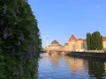 Ein sonniger Sonntag in Berlin. Lila Glyzinien ranken sich vor der Spree, im Hintergrund der Fernsehturm und historische Gebäude.