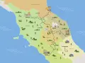 Mappa illustrata del Cammino di San Francesco, con le sue tappe principali da Rimini ad Assisi, Rieti e Roma, attraversando Toscana, Umbria e Marche.