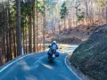 Motociclista su strada tortuosa tra i boschi, un'avventura **rund um den Gardasee**.