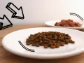 Ile mokrej karmy dla psa? Sprawdź tabelę dawkowania i uniknij błędów
