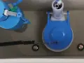 Toilet tank internals. A blue Hydroclean flush valve and a blue dual-flush valve. Could a faulty valve be why does my toilet keep running?