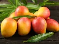 Kusza dojrzałych mango, gdzie rosną mango, na ciemnym drewnianym tle, otoczona zielonymi liśćmi.