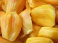 Żółte, soczyste segmenty owocu jackfruit, który to? Wyglądają apetycznie!