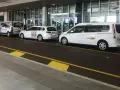Taxi a Venezia, in attesa all'aeroporto. Diverse auto bianche, tra cui minivan e station wagon, pronte per il trasporto passeggeri.
