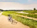 Wiślana Trasa Rowerowa: Jak przejechać Polskę na rowerze? Poradnik