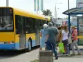 Ludzie czekają na autobus w Skierniewicach. Sprawdzają mzk rozkład jazdy, by wiedzieć, kiedy odjedzie.