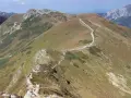 Szlak turystyczny wije się po zboczach Starorobociańskiego Wierchu, otoczony trawami i kosodrzewiną.