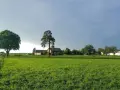 Ile kosztuje odrolnienie działki? Sprawdź, by uniknąć wysokich opłat
