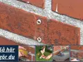 Så här lagar du mur utomhus. Bilden visar steg för att laga en tegelvägg utomhus, med fokus på att reparera sprickor och fogar.