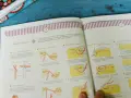Aprender a coser a mano: cómo enhebrar la aguja, hacer nudos y empezar a coser con puntadas básicas.