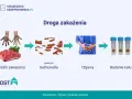 Droga zakażenia Salmonellą: od surowego mięsa i brudnych rąk, przez pałeczki, do objawów bólu brzucha i badania kału.