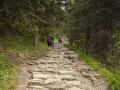 Kamienista ścieżka w lesie, turyści wędrują przez dolinę Jaworzynki.
