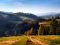 Malowniczy krajobraz górski z krętą drogą, drzewami i łagodnymi wzgórzami w jesiennym słońcu.