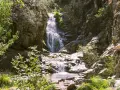 Cascada en un bosque frondoso, un ejemplo de los impresionantes espacios naturales de España.