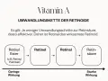 Umwandlungskette von Vitamin A: Retinyl Palmitat (geringe Wirkung) wandelt sich in Retinol, dann Retinal und schließlich Retinsäure (starke Wirkung) um.