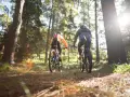Dwie osoby na rowerach górskich przemierzają leśne trasy rowerowe Nowego Sącza. Słońce przebija się przez drzewa.