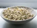 Una ciotola piena di germogli di soia freschi e croccanti, pronti per insalate o piatti saltati in padella.